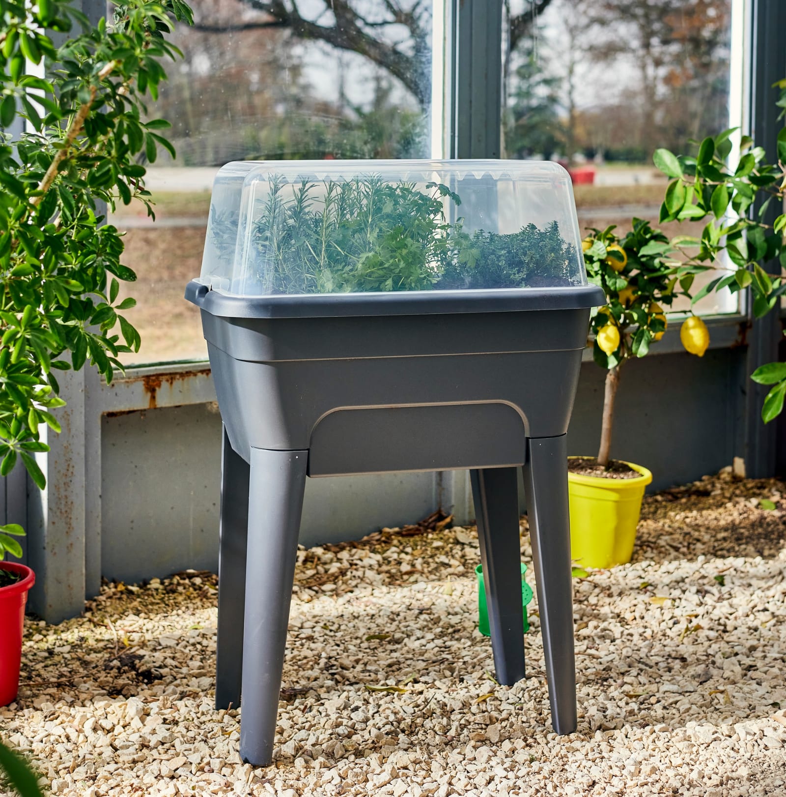 Planter — visual 2