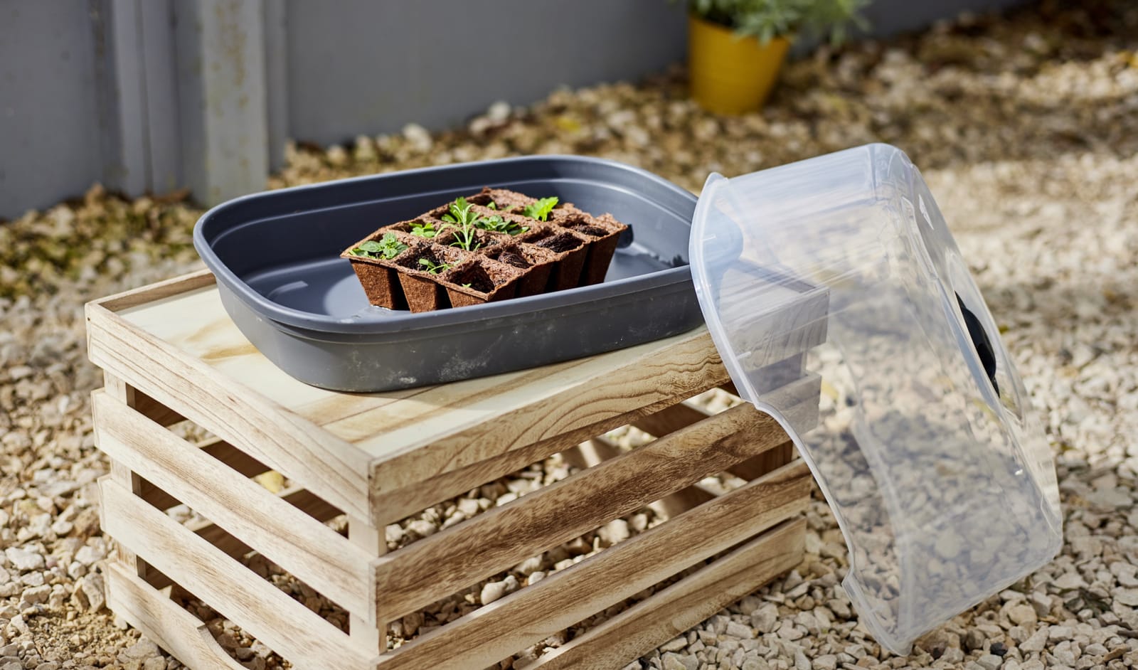 Mini greenhouse — visual 3